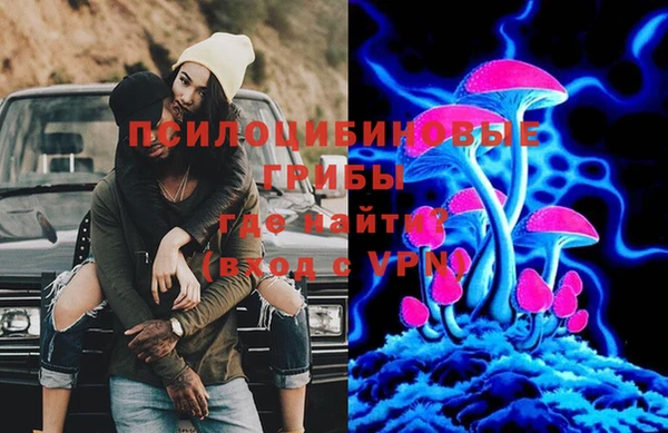 2c-b Мегион