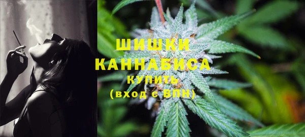 индика Балабаново