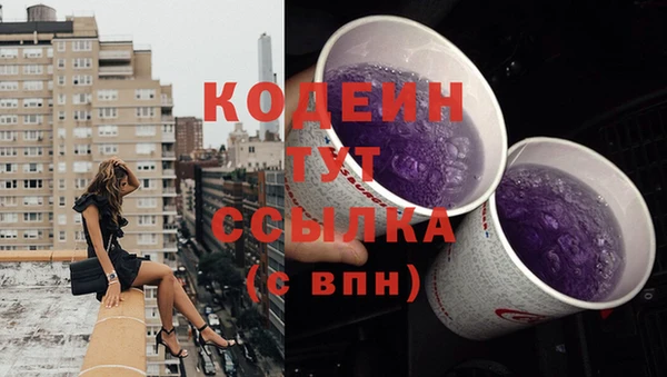 индика Балабаново