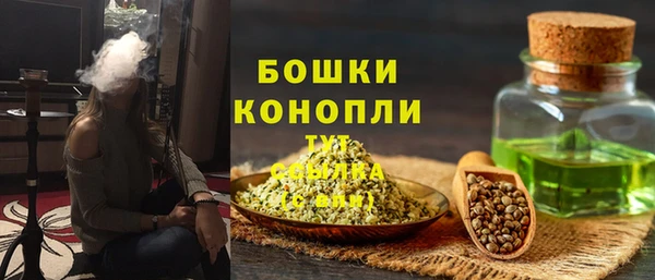 индика Балабаново