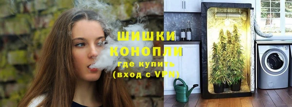 индика Балабаново