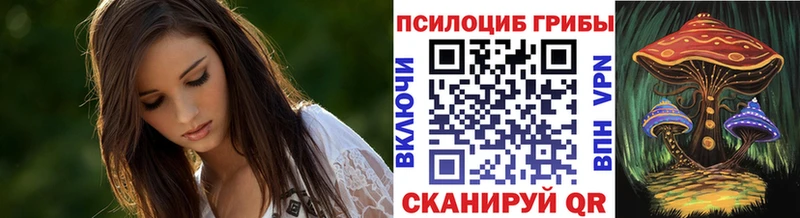 купить наркотики сайты  omg ССЫЛКА  Псилоцибиновые грибы Magic Shrooms  Пятигорск 